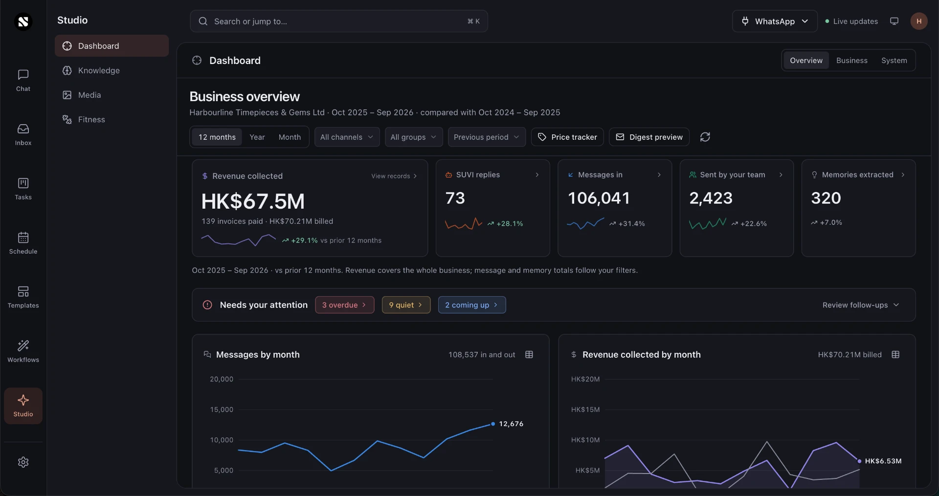 Suvi Studio business overview with revenue, messages and monthly performance charts